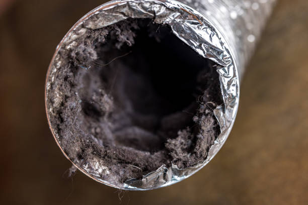 Best Commercial Air Duct Cleaning  in Montague, CA